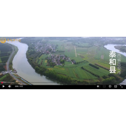 江西寻药 泰和乌鸡 乌鸡白凤丸主药